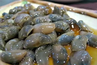 禁渔期不吃亏 美味贝类海鲜来救场